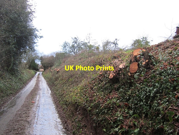 Photo 6"x4" Removed hedge, Newton Marlbrook\/SO5054 c2012