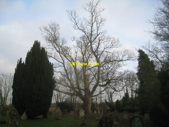 Photo 6"x4" The churchyard, Linwood Linwood\/TF1086 c2012