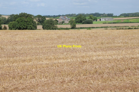 Photo 6"x4" View to Monkhall Farm The Rhydd c2012