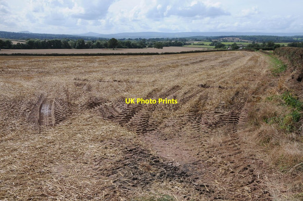 Photo 6"x4" Arable land at Dewsall The Rhydd c2012