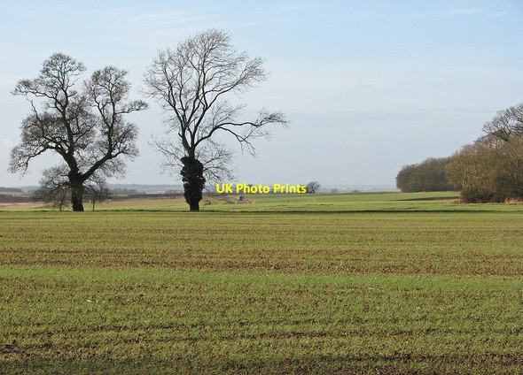 Photo 6"x4" Towards Cambridge Burrough End c2012