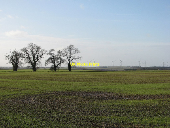 Photo 6"x4" Trees, fields, turbines Burrough End c2012