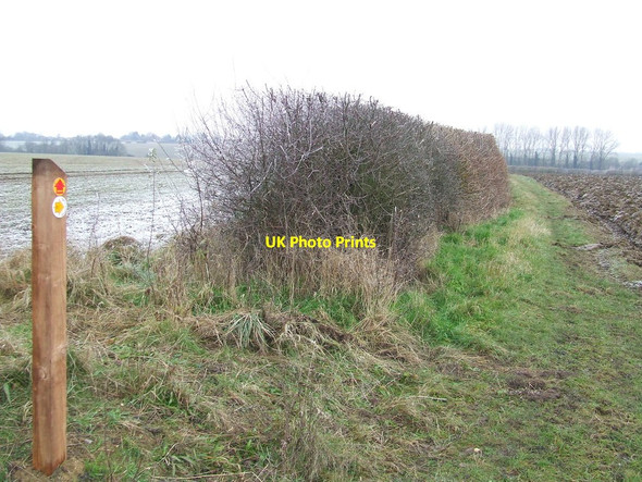 Photo 6"x4" Footpath Junction Stambourne c2012