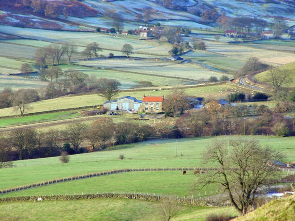 Photo 6"x4" Part of Rosedale Valley East Thorgill c2003