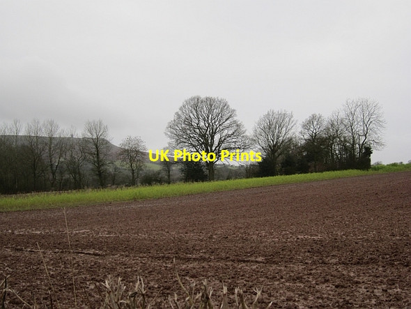 Photo 6"x4" Field, Silvington Farlow c2012