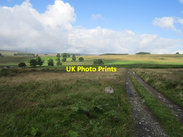 Photo 6"x4" Track, Beck Head Scout Green c2012