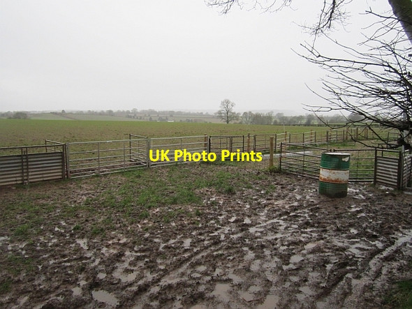 Photo 6"x4" Sheep pens near Brock Hall Hamnish Clifford c2012