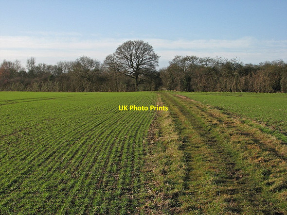 Photo 6"x4" Towards Brinkley Burrough Green c2012