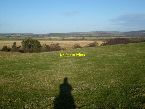 Photo 6"x4" Scawton Moor view Scawton c2013