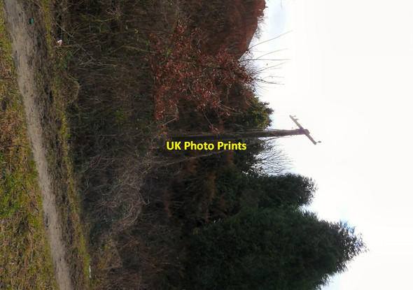 Photo 6"x4" Old telegraph post Hyde\/SJ9494 c2013