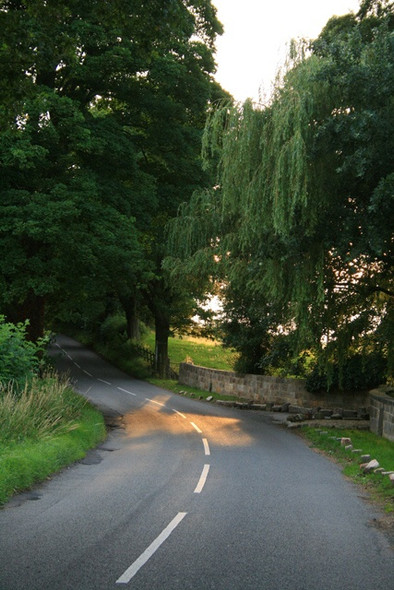 Photo 6"x4" An Illuminated Bend Dale Moor c2008