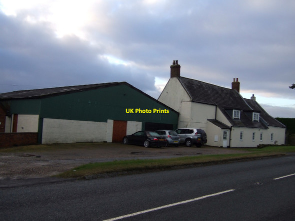 Photo 6"x4" Beech Hill Farm Foxton\/SE4296 c2012
