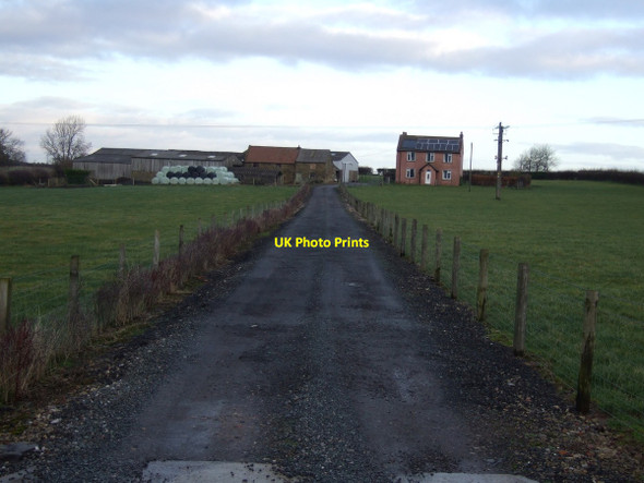 Photo 6"x4" Track to Baulk Bridge Farm Ingleby Arncliffe c2012