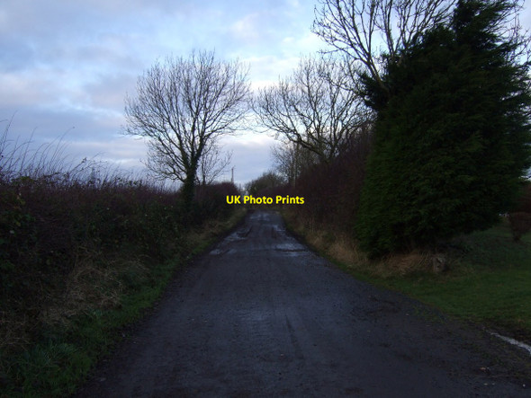 Photo 6"x4" Track to East Rounton Ingleby Arncliffe c2012
