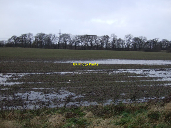 Photo 6"x4" Farmland, Trenholme Bridge East Rounton c2012