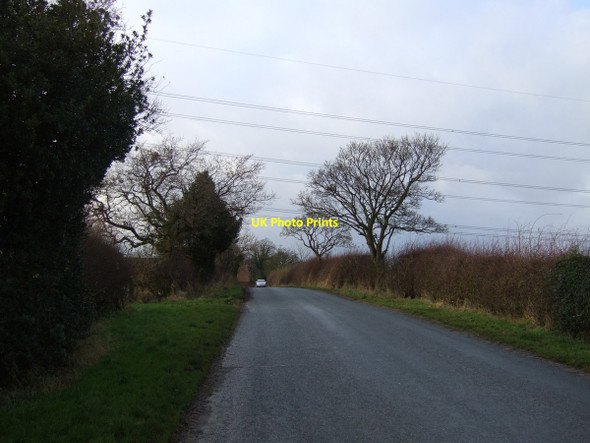 Photo 6"x4" Minor road heading west East Rounton c2012