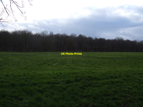 Photo 6"x4" Farmland, East Rounton East Rounton c2012