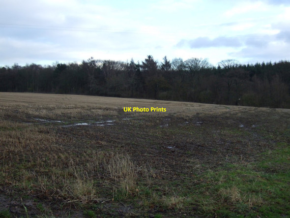 Photo 6"x4" Farmland, Castle Hill Farm East Rounton c2012