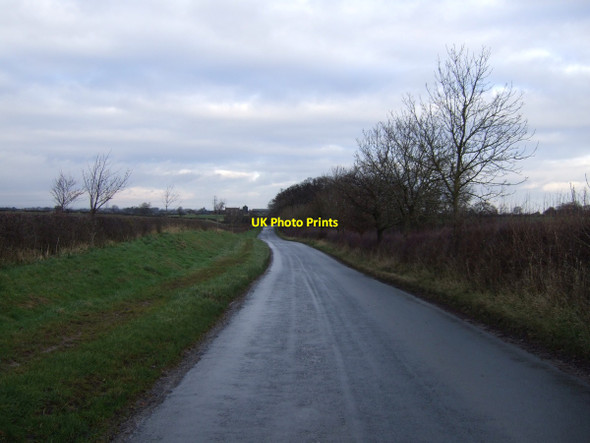 Photo 6"x4" Lane heading north West Rounton c2012