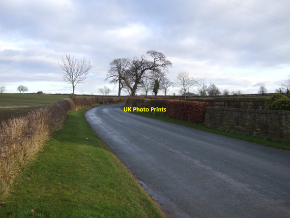 Photo 6"x4" Low Lane heading east West Rounton c2012
