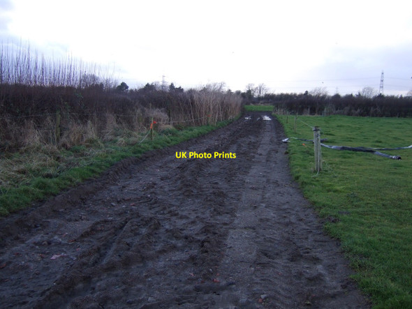 Photo 6"x4" Farm track off York Street Picton\/NZ4107 c2012