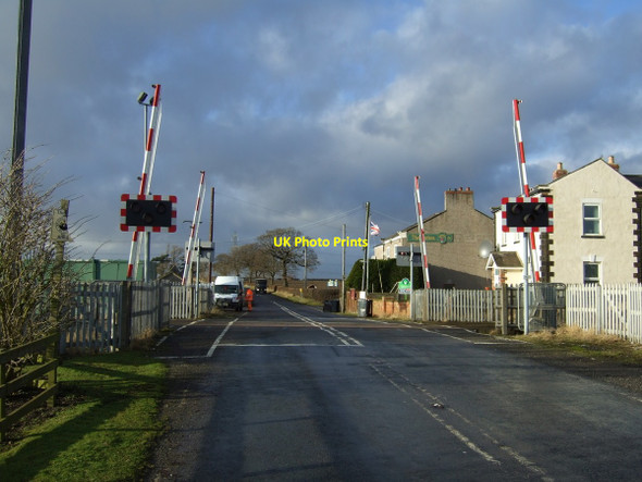 Photo 6"x4" Level crossing, Picton Picton\/NZ4107 c2012