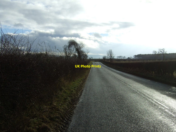 Photo 6"x4" Minor road towards Hutton Rudby Crathorne c2012