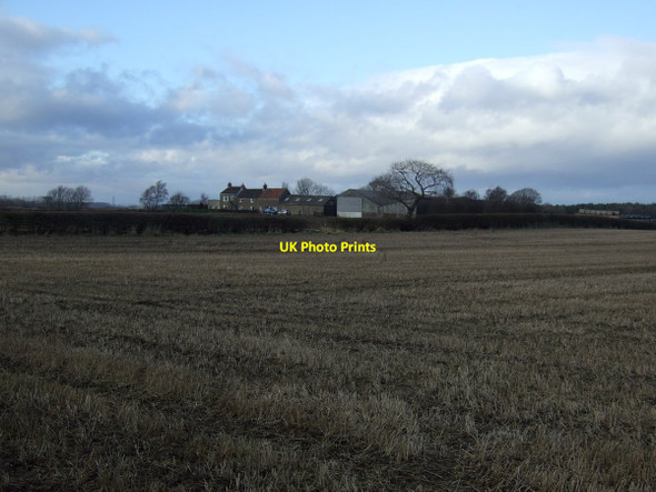 Photo 6"x4" Farmland, Burnt House Crathorne c2012