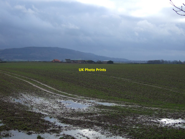 Photo 6"x4" Farmland, Thorn Farm Enterpen c2012