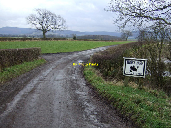 Photo 6"x4" Track to Thorn Farm Enterpen c2012