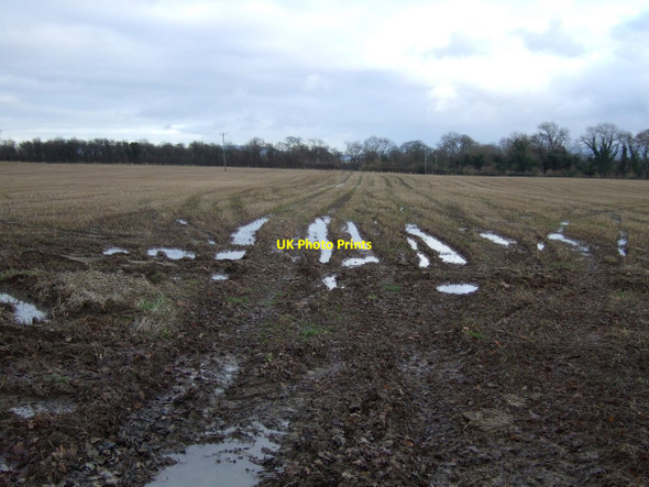 Photo 6"x4" Farmland near Potto Grange Goulton c2012