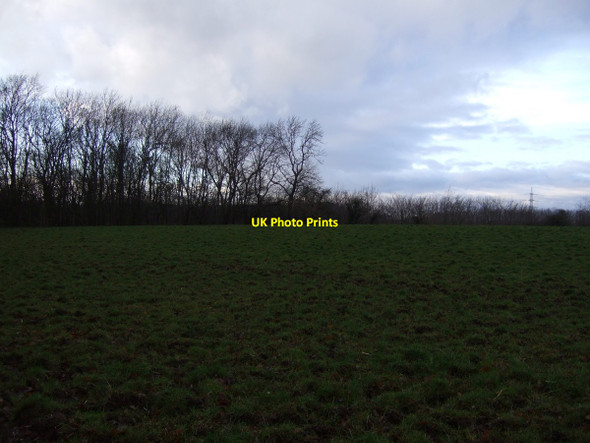 Photo 6"x4" Farmland, Weary Bank Middleton-on-Leven c2012
