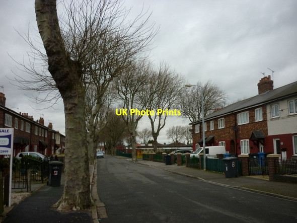Photo 6"x4" The Greenway, Gipsyville, Hull Gipsyville\/TA0627 c2012 P1