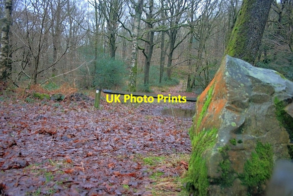 Photo 6"x4" Track to Parkamoor Scar Head c2012