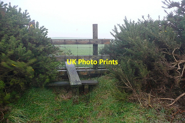 Photo 6"x4" Stile on Weeke Down Nettlecombe\/SZ5278 c2012