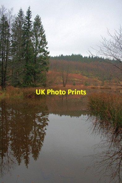Photo 6"x4" Hob Gill Tarn Force Forge c2012