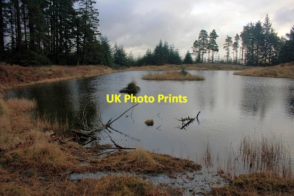 Photo 6"x4" Tarn at High Man Haws Bank\/SD3096 c2012