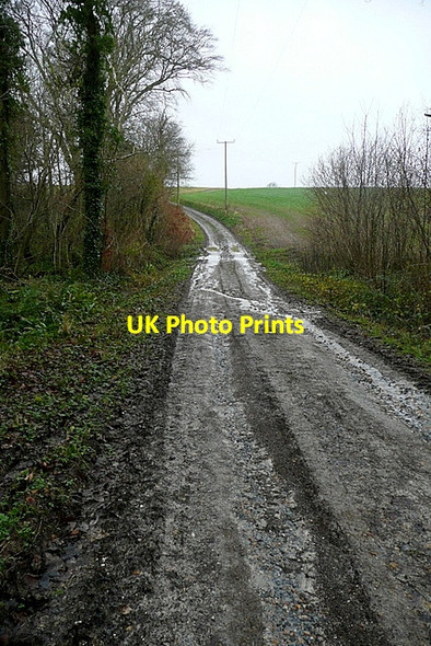 Photo 6"x4" Towards Westover Farm Calbourne c2012