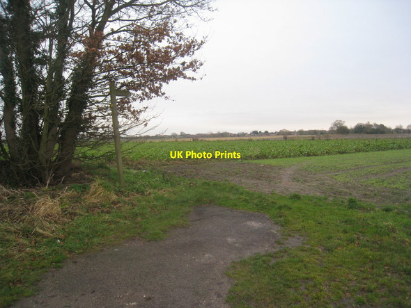 Photo 6"x4" Footpath to Runner End Holme-on-Spalding-Moor c2013