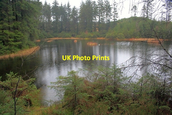 Photo 6"x4" Not Grizedale Tarn Grizedale c2012