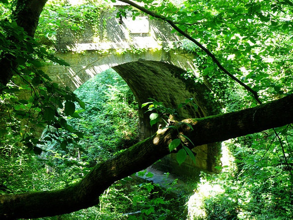 Photo 6"x4" Thames & Severn Canal Tarlton c2008