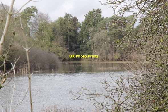 Photo 6"x4" Fields by Mill Court North Stoke\/SU6186 c2012