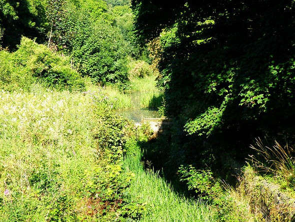 Photo 6"x4" Thames & Severn Canal Brimscombe c2008