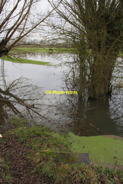 Photo 6"x4" View of flooded Port Meadow from Willow Walk Oxford\/SP5106 c2013