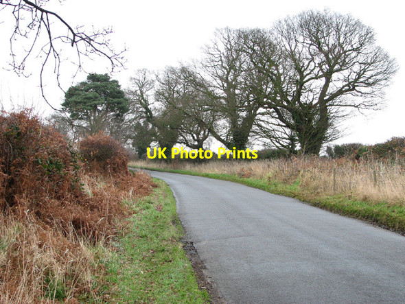 Photo 6"x4" This way to Browston Browston Green c2013