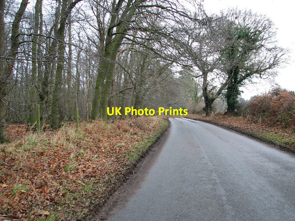 Photo 6"x4" Browston Lane past Ashby Warren Browston Green c2013