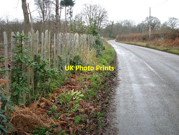 Photo 6"x4" Approaching Browston Green on Lound Road Browston Green c2013