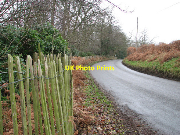 Photo 6"x4" To Browston Green on Lound Road Browston Green c2013