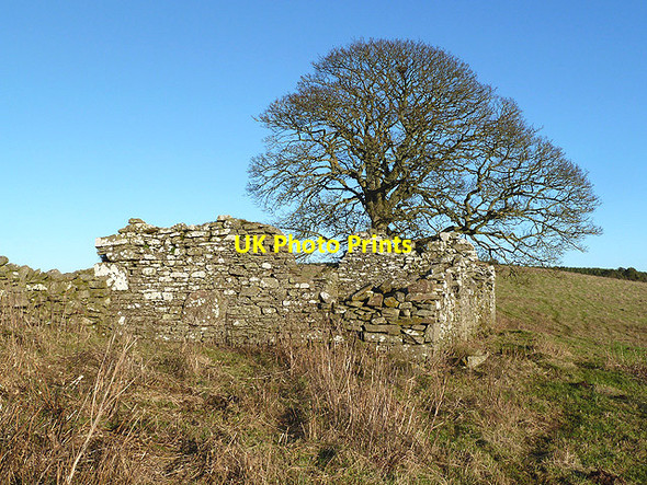 Photo 6"x4" A ruined building near Easter Housebyres Easter Housebyres c2013