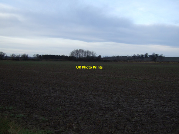 Photo 6"x4" Farmland, Low Middleton Middleton One Row c2013